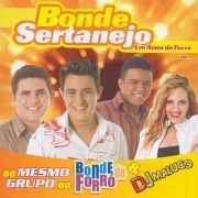 Um Amor de Forró - Vol. 1